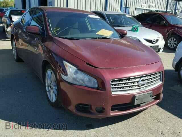 Фотография 1N4AA5AP5BC821841 - NISSAN MAXIMA 2011