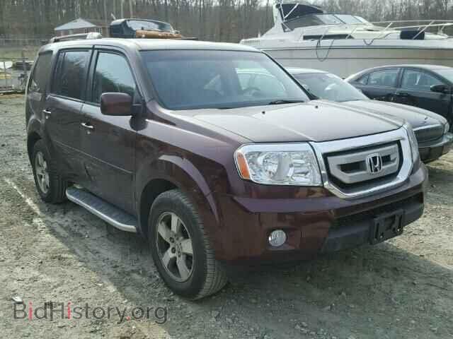 Фотография 5FNYF48549B043392 - HONDA PILOT 2009