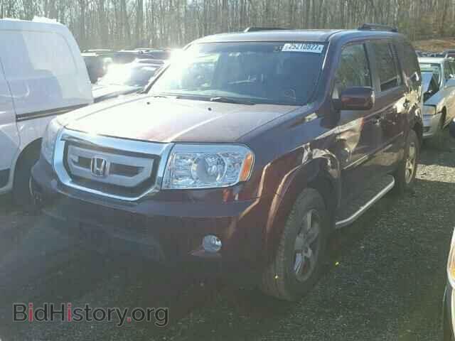 2009 HONDA PILOT - VIN: 5FNYF48549B043392 - Фото 2