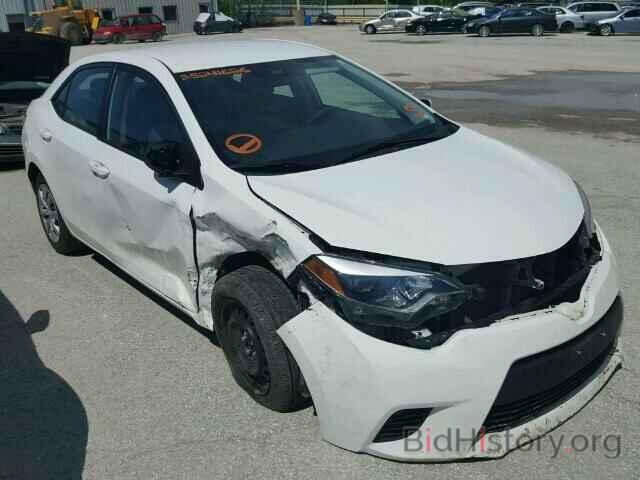 Photo 5YFBURHE1EP090757 - TOYOTA COROLLA 2014