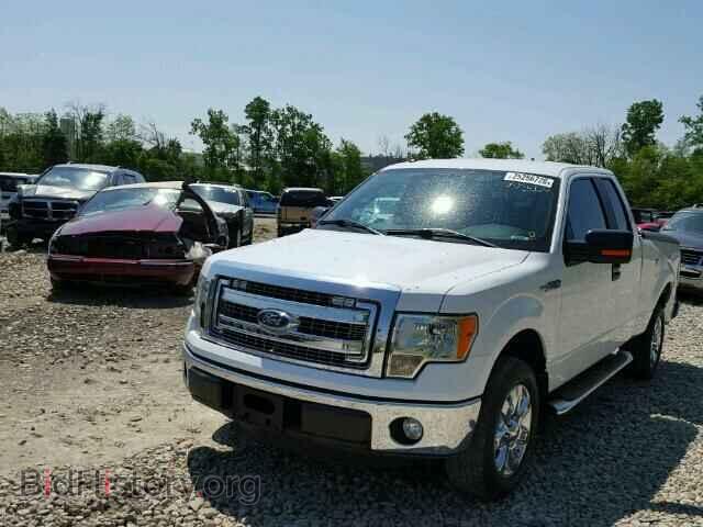 2013 FORD F150 - VIN: 1FTFX1CFXDFD02636 - Фото 2