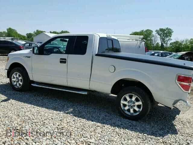 2013 FORD F150 - VIN: 1FTFX1CFXDFD02636 - Фото 9