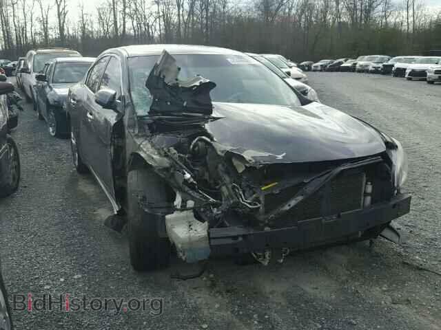 Фотография 1N4AA5APXAC803561 - NISSAN MAXIMA 2010