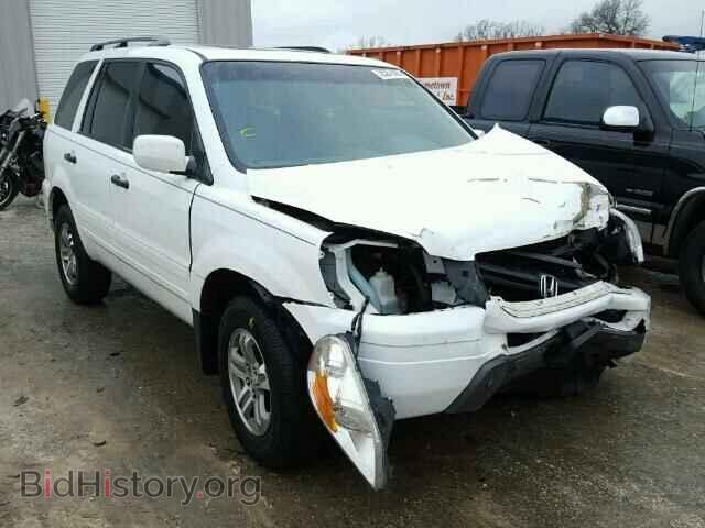 Photo 5FNYF18615B053167 - HONDA PILOT 2005