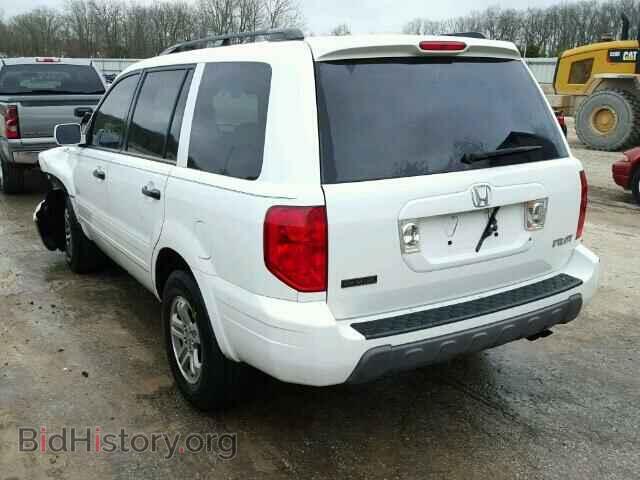 2005 HONDA PILOT - VIN: 5FNYF18615B053167 - Фото 3