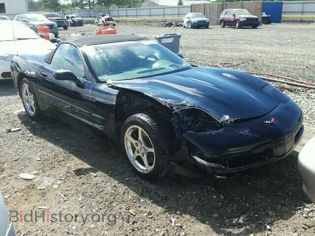 Photo 1G1YY32G9Y5118420 - CHEVROLET CORVETTE 2000