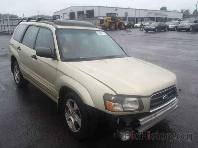 Photo JF1SG65654H722551 - SUBARU FORESTER 2004