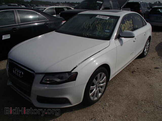 2011 AUDI A4 - VIN: WAUEFAFL9BN001727 - Фото 2