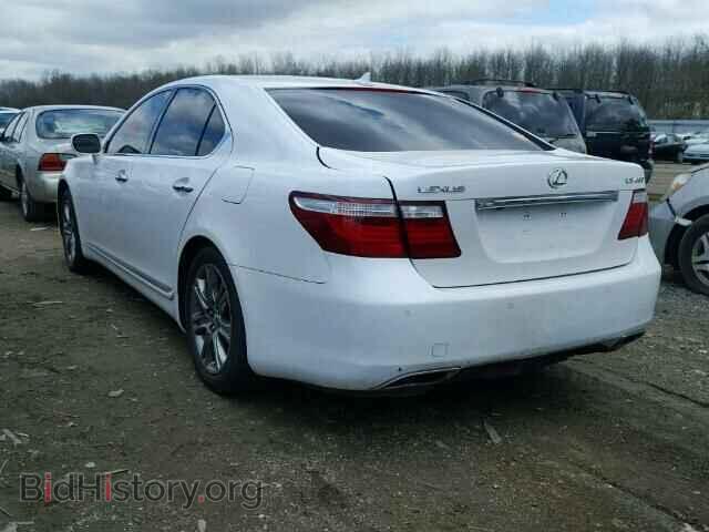 2007 LEXUS LS460 - VIN: JTHBL46F475033016 - Photo 3