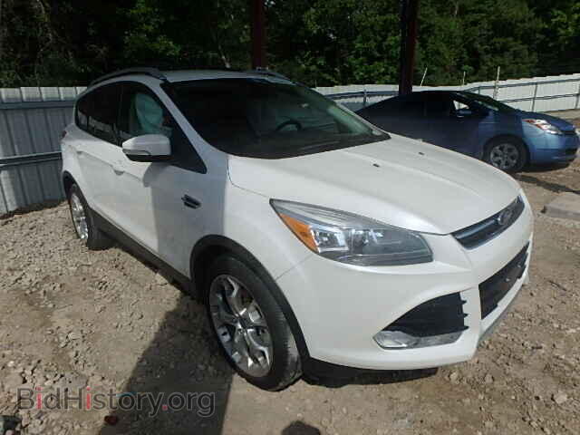 Фотография 1FMCU0J98DUB12974 - FORD ESCAPE 2013
