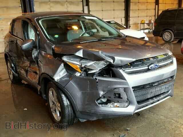 Фотография 1FMCU0GX2DUA17767 - FORD ESCAPE 2013