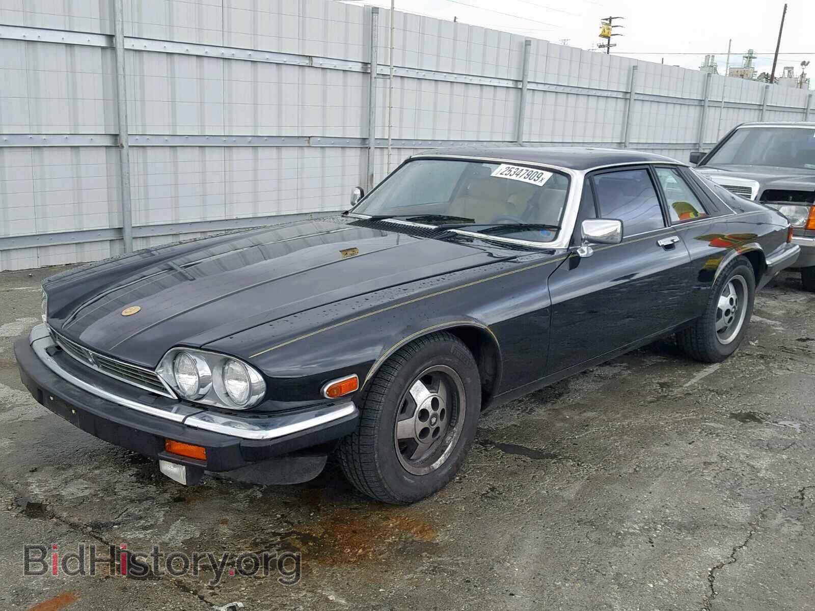 1987 JAGUAR XJS - VIN: SAJNV5841HC138542 - Фото 2