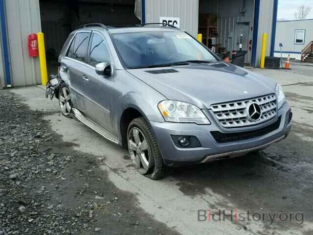 Photo 4JGBB8GB0AA579491 - MERCEDES-BENZ ML350 2010