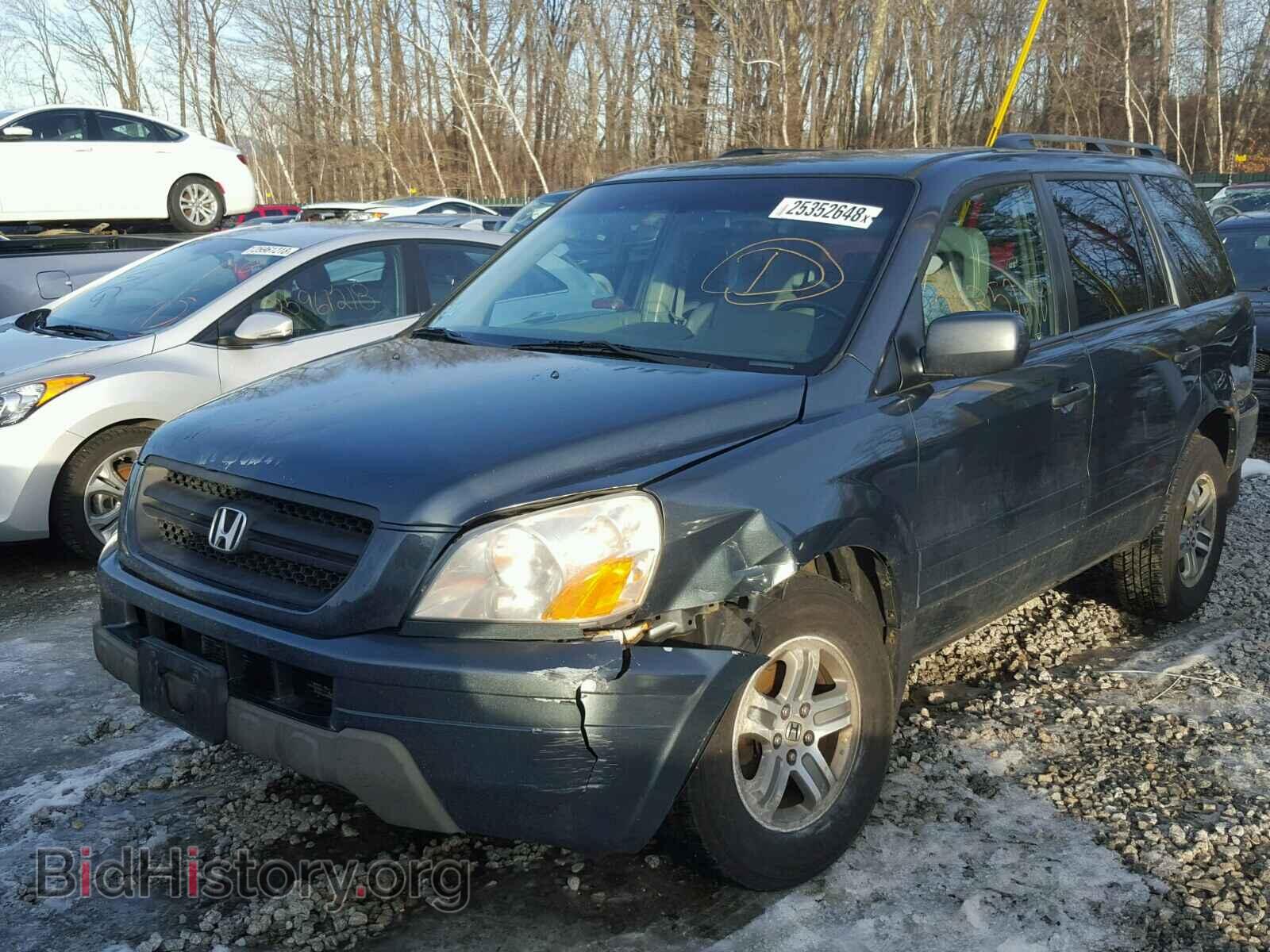 2005 HONDA PILOT - VIN: 5FNYF18505B059257 - Фото 2
