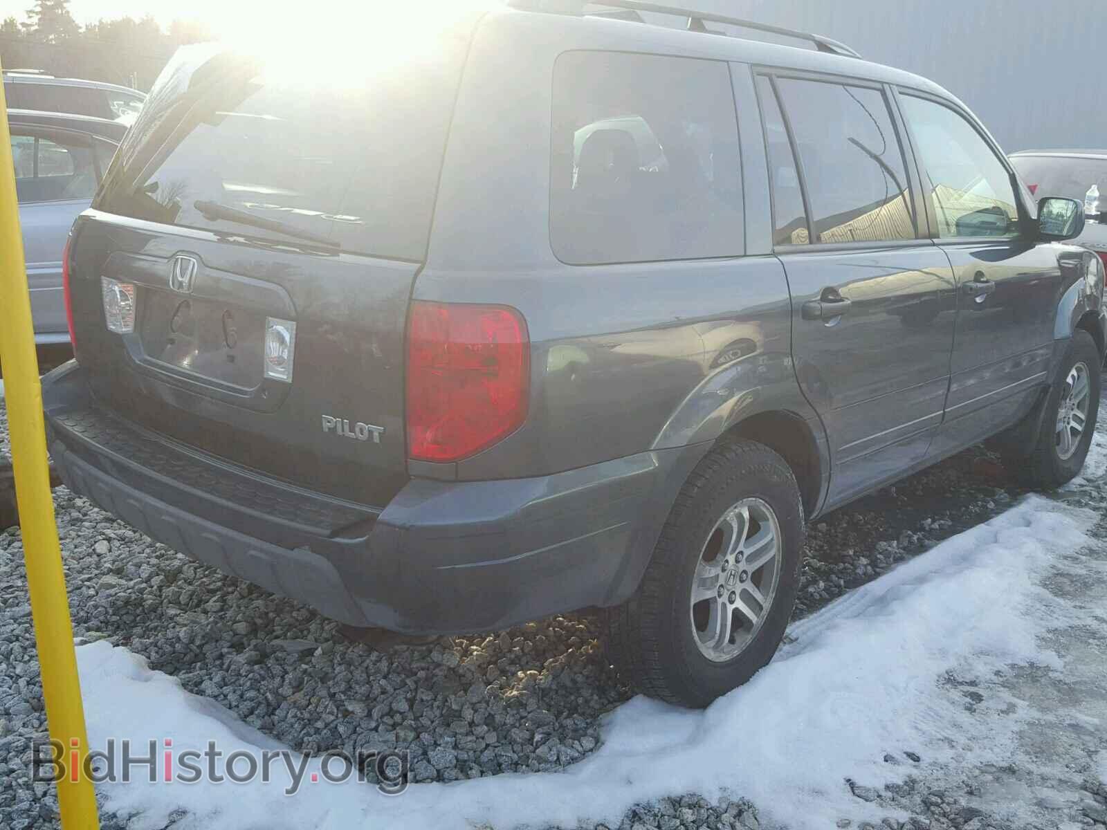 2005 HONDA PILOT - VIN: 5FNYF18505B059257 - Фото 4