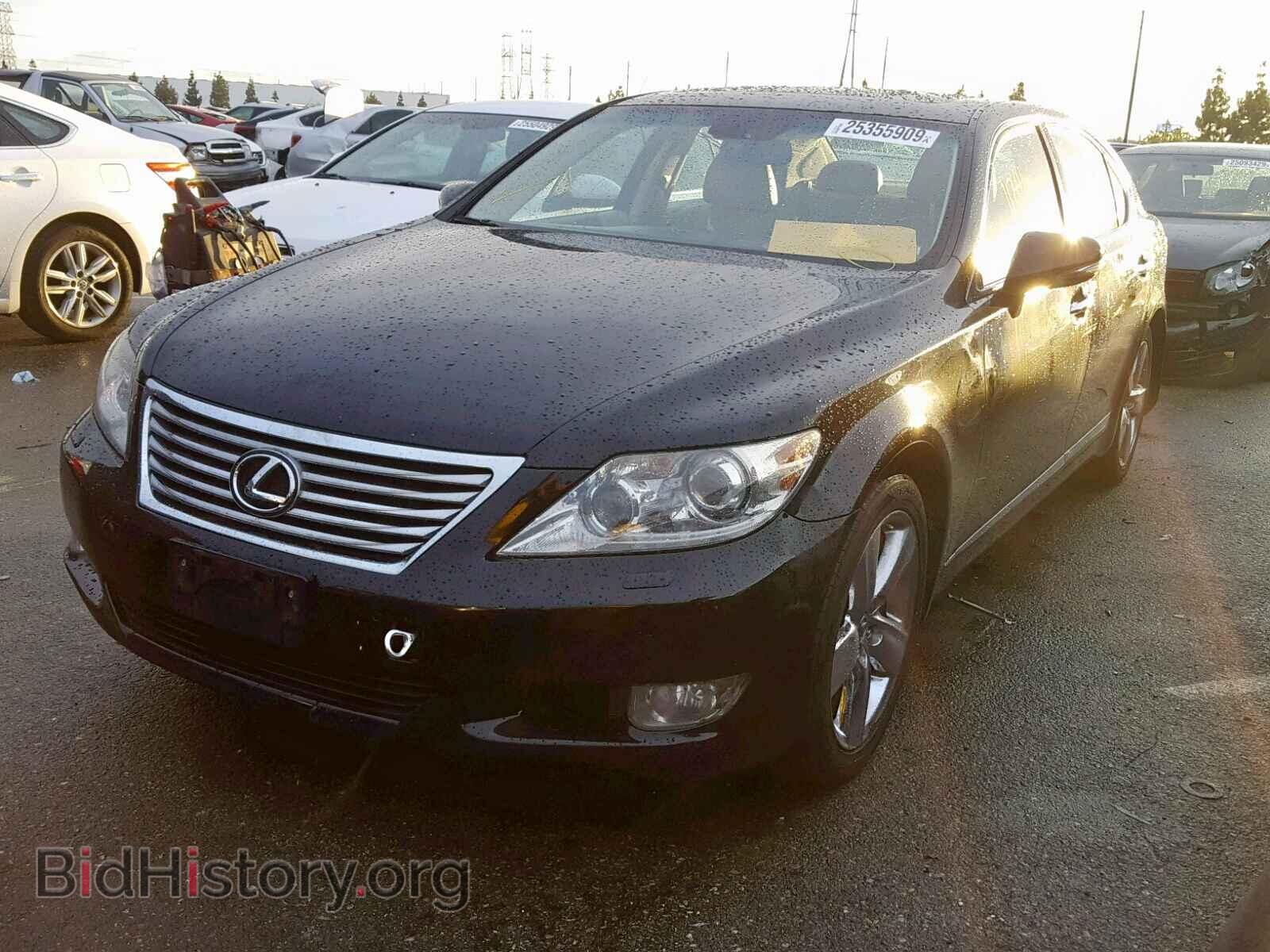 2010 LEXUS LS460 - VIN: JTHGL5EF2A5038364 - Фото 2