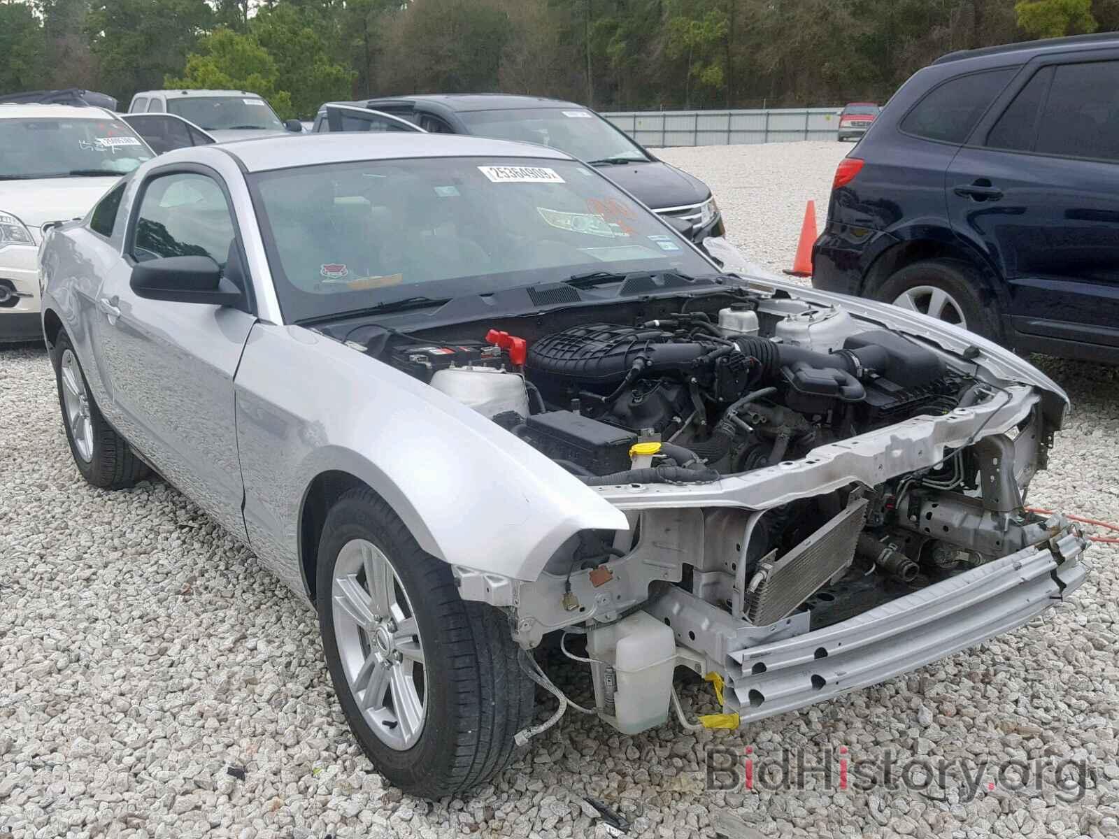 Photo 1ZVBP8AM8C5206949 - FORD MUSTANG 2012