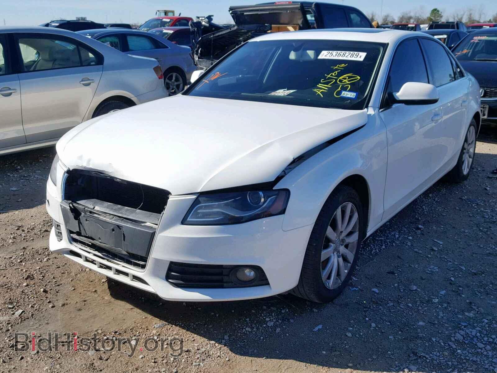 2012 AUDI A4 - VIN: WAUAFAFL0CN013216 - Фото 2