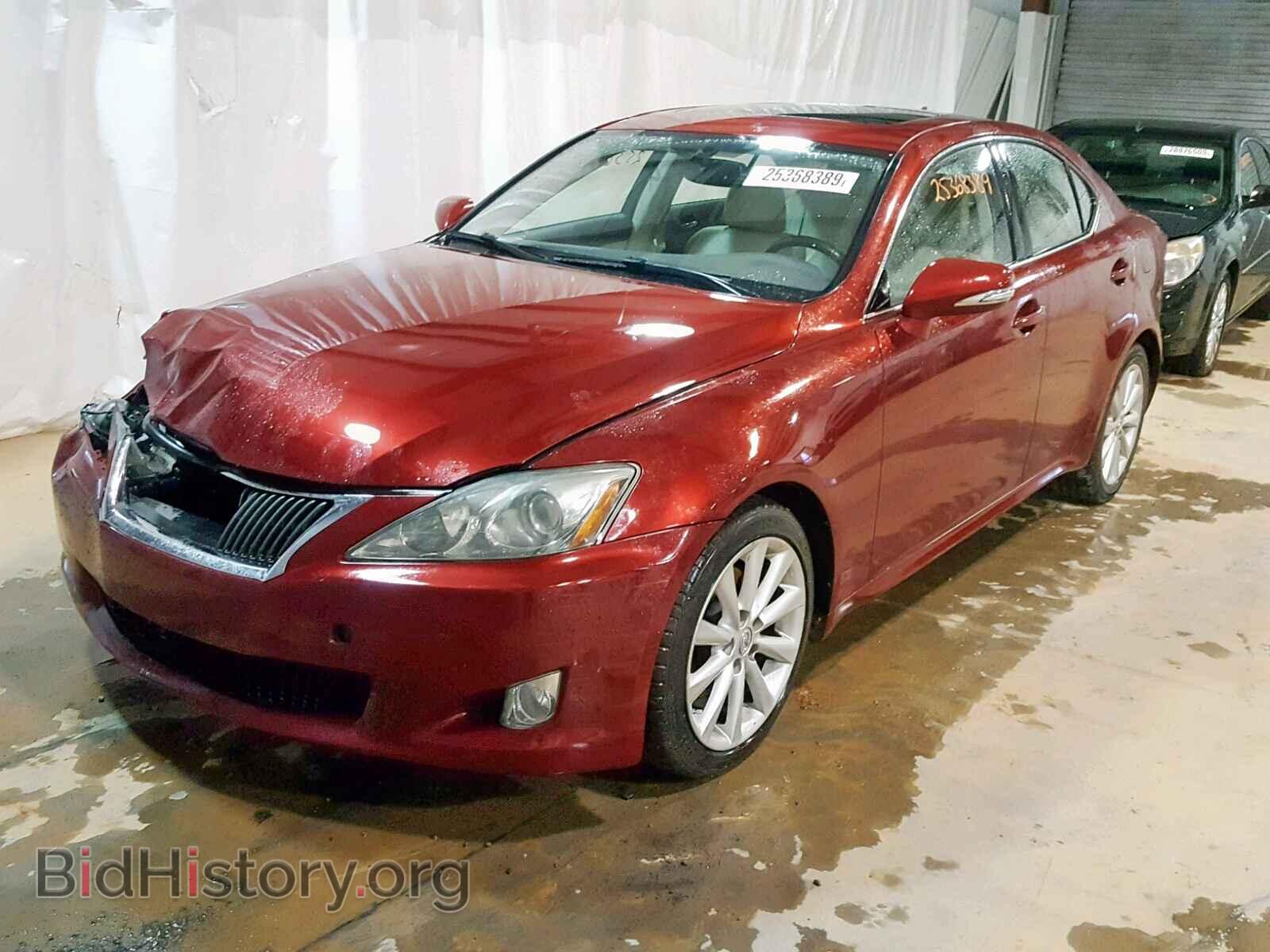 2010 LEXUS IS 250 - VIN: JTHBF5C20A2094516 - Фото 2