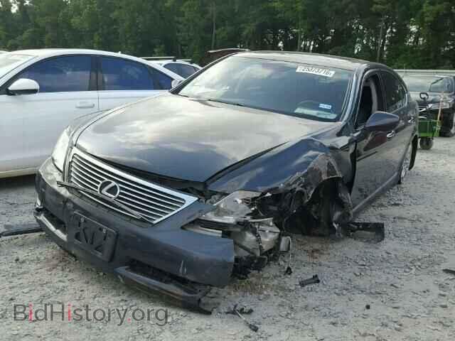 2007 LEXUS LS460 - VIN: JTHBL46F775001614 - Фото 2