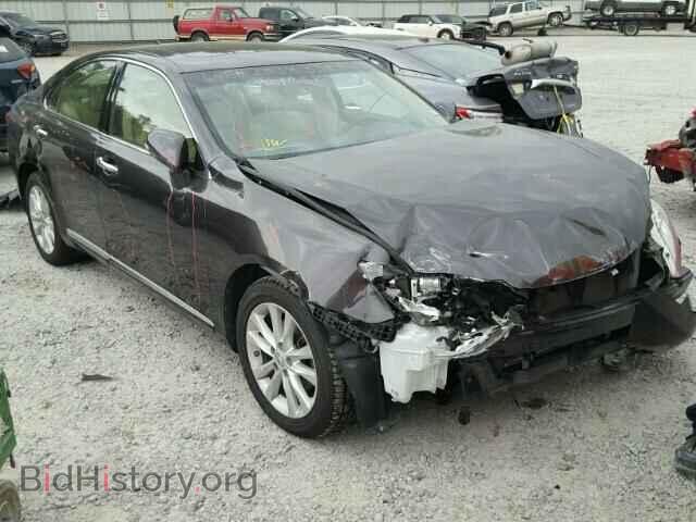 Photo JTHBK1EG3C2500305 - LEXUS ES350 2012