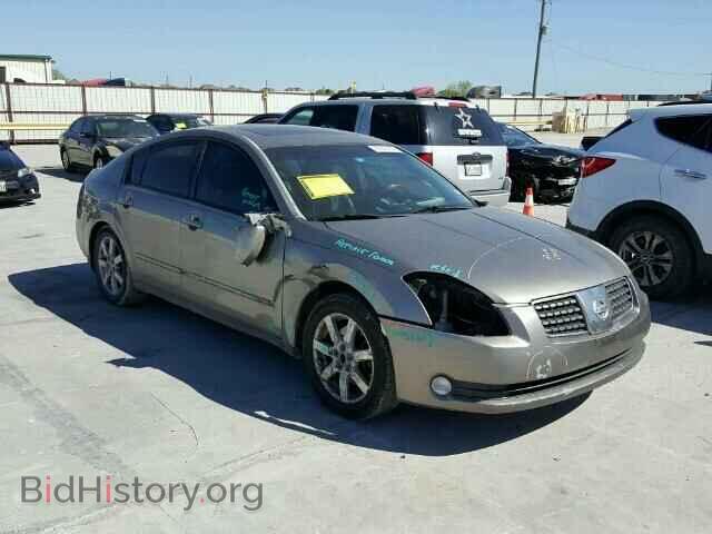 Photo 1N4BA41E46C847639 - NISSAN MAXIMA 2006