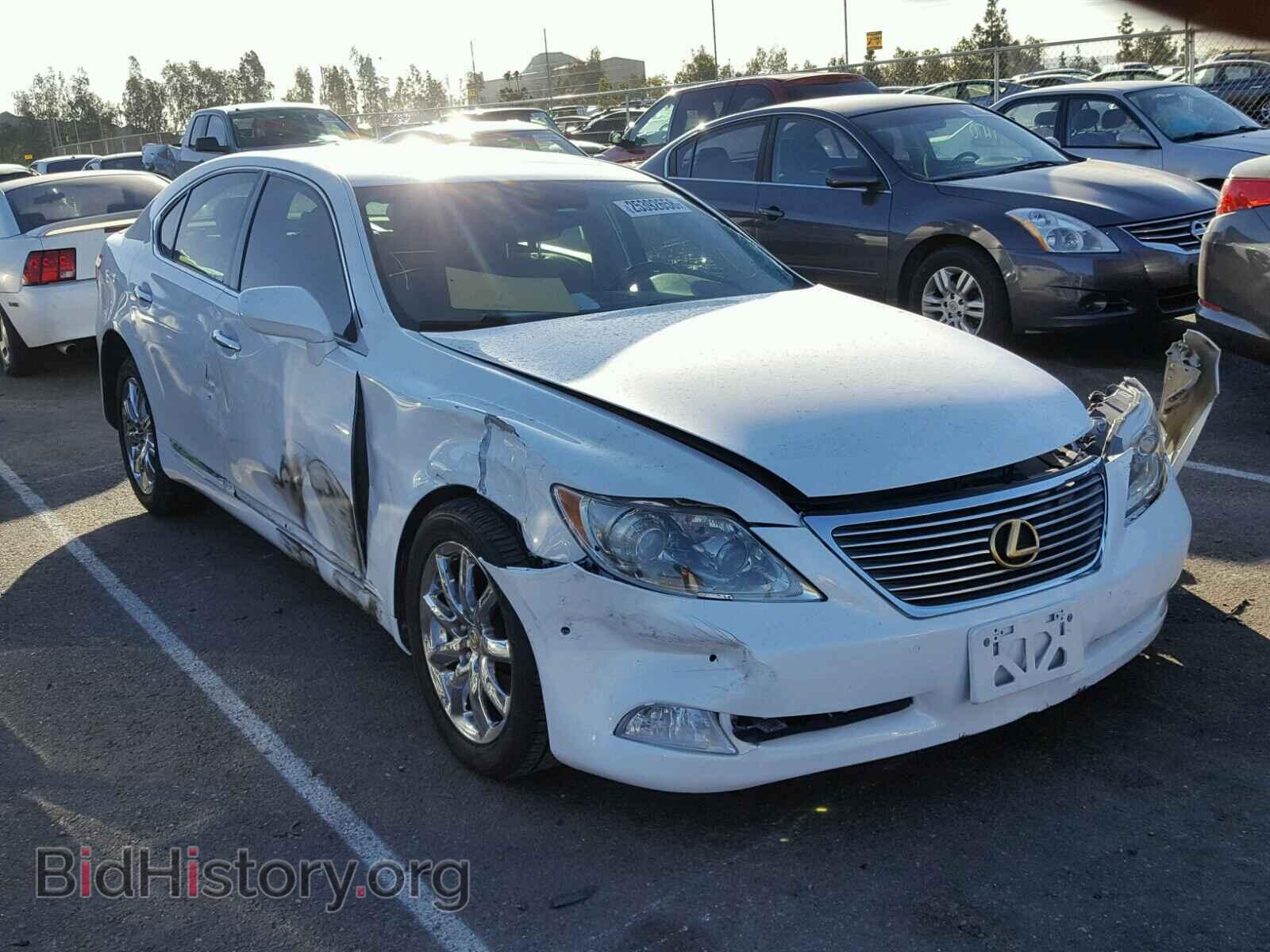 Фотография JTHBL46F395084882 - LEXUS LS460 2009