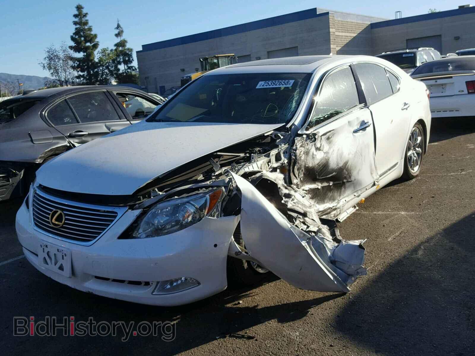 2009 LEXUS LS460 - VIN: JTHBL46F395084882 - Фото 2