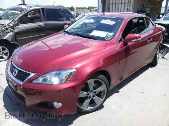 2010 LEXUS IS250 - VIN: JTHFF2C23A2510946 - Фото 2