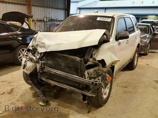 2011 MAZDA TRIBUTE - VIN: 4F2CY0C74BKM07020 - Фото 2