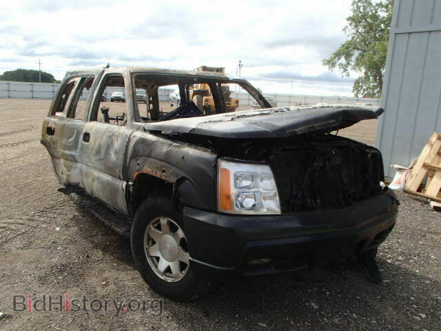 Photo 1GYEK63N72R102639 - CADILLAC ESCALADE 2002
