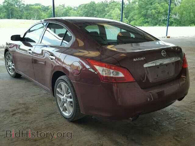 2009 NISSAN MAXIMA - VIN: 1N4AA51E59C808435 - Фото 3