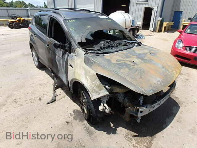 Фотография 1FMCU0H93DUC23261 - FORD ESCAPE 2013