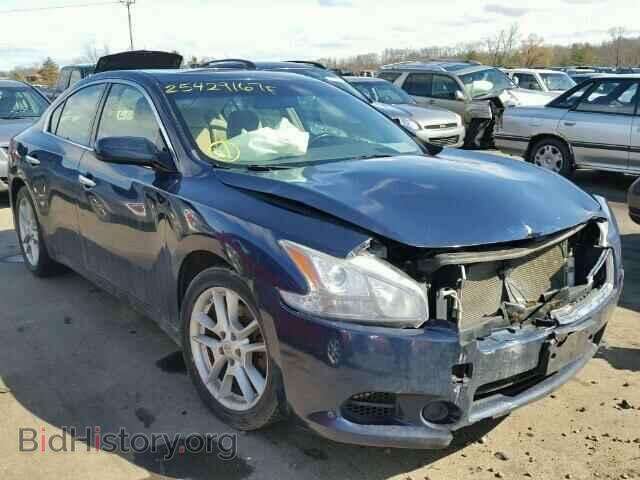 Фотография 1N4AA5AP1BC817446 - NISSAN MAXIMA 2011