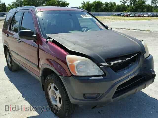 Фотография SHSRD68453U105508 - HONDA CRV 2003