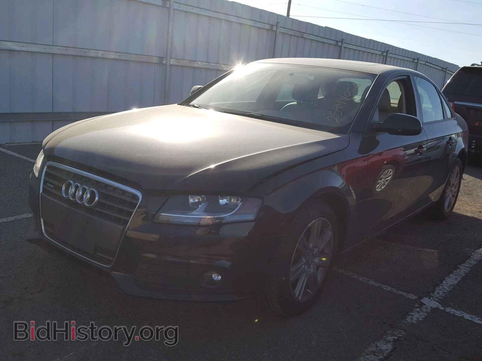 2011 AUDI A4 - VIN: WAUBFAFL9BN039252 - Фото 2