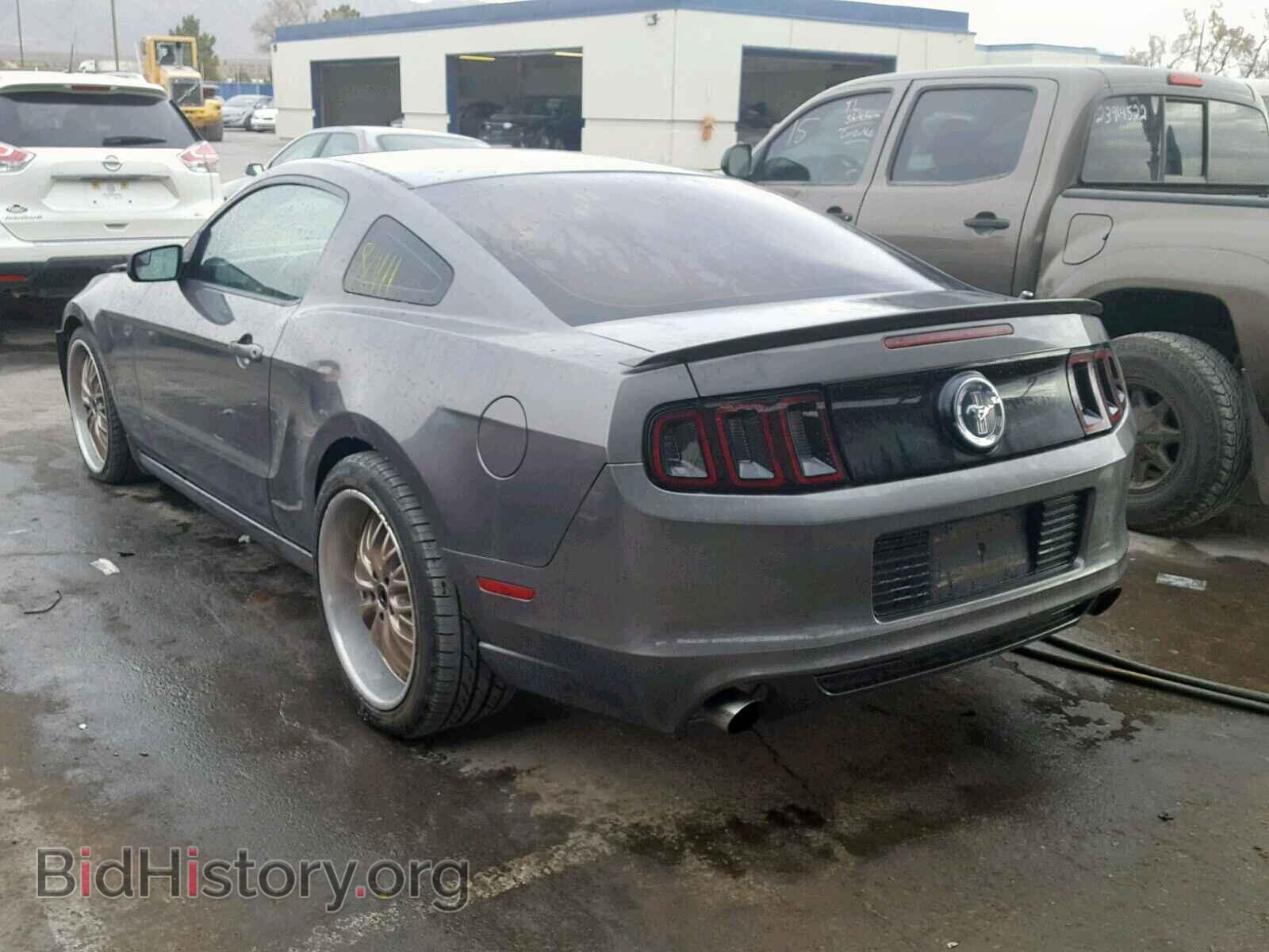 2013 FORD MUSTANG - VIN: 1ZVBP8AM1D5262121 - Фото 3