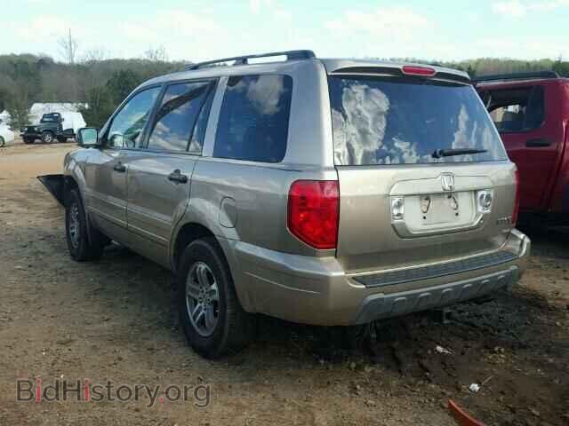 2005 HONDA PILOT - VIN: 5FNYF18655B032452 - Фото 3