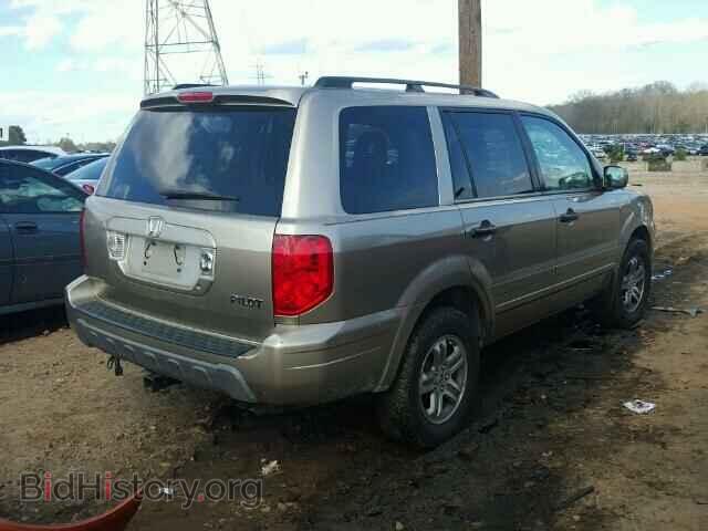2005 HONDA PILOT - VIN: 5FNYF18655B032452 - Фото 4