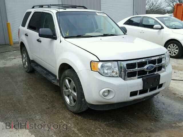 Фотография 1FMCU0DG2BKB95529 - FORD ESCAPE 2011
