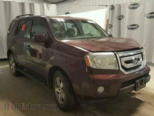 Photo 5FNYF3H56AB016449 - HONDA PILOT 2010