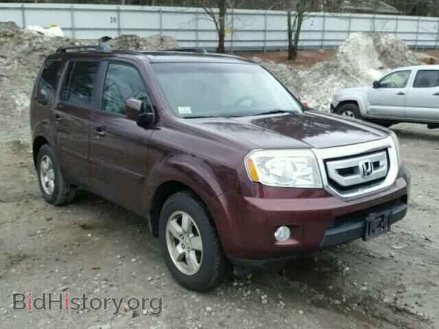 Фотография 5FNYF48489B056461 - HONDA PILOT 2009