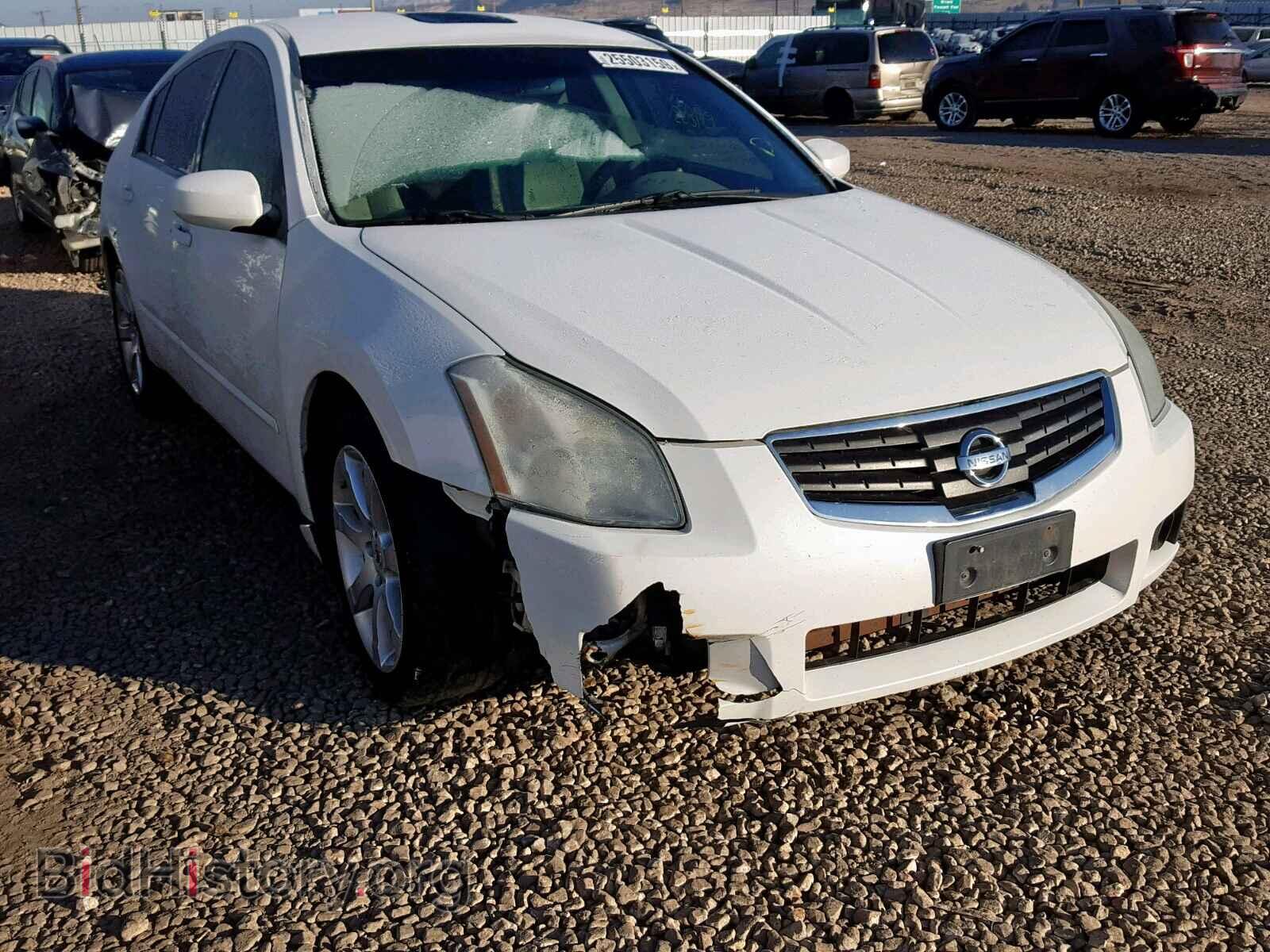 Photo 1N4BA41E48C801358 - NISSAN MAXIMA 2008
