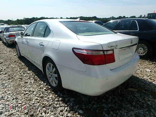 2007 LEXUS LS460 - VIN: JTHBL46F875032855 - Photo 3