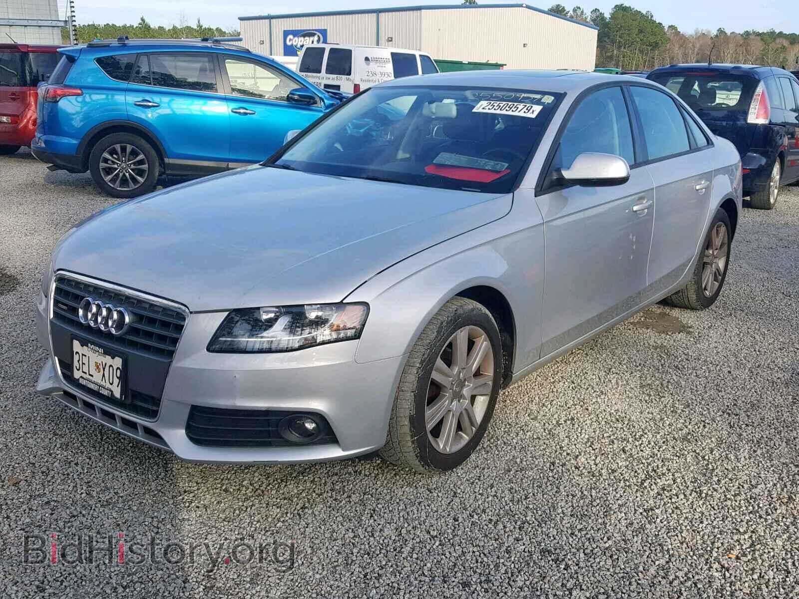 2010 AUDI A4 - VIN: WAUBFAFL8AN068997 - Фото 2