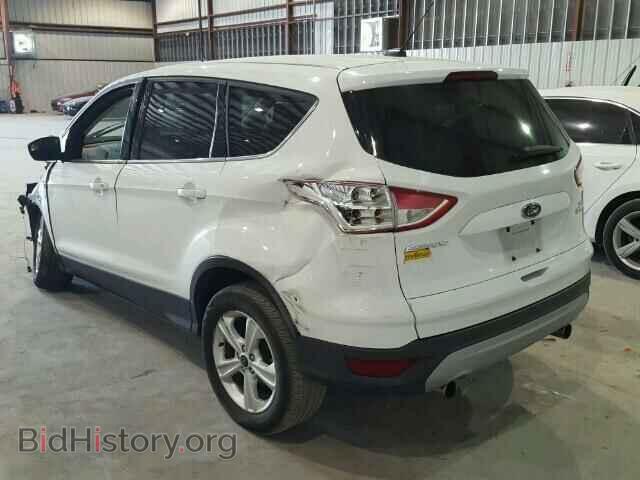 2013 FORD ESCAPE - VIN: 1FMCU0GX5DUB13103 - Фото 3