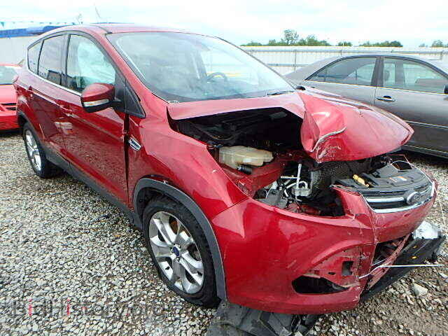 Фотография 1FMCU0H94DUA25112 - FORD ESCAPE 2013