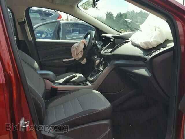2013 FORD ESCAPE - VIN: 1FMCU0G95DUC07256 - Фото 5