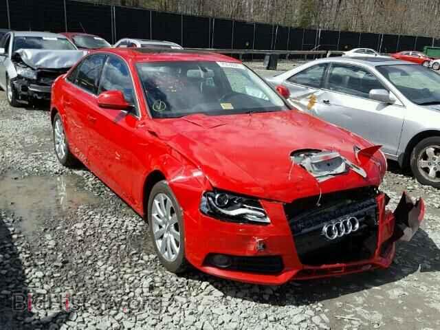 Фотография WAUSF78K09N028867 - AUDI A4 2009