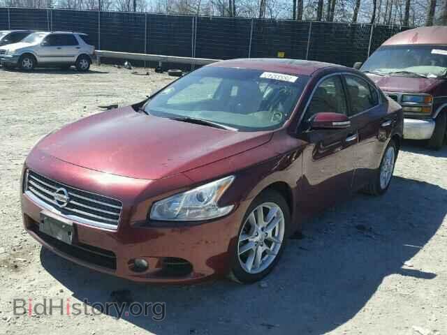 2010 NISSAN MAXIMA - VIN: 1N4AA5AP7AC823136 - Фото 2